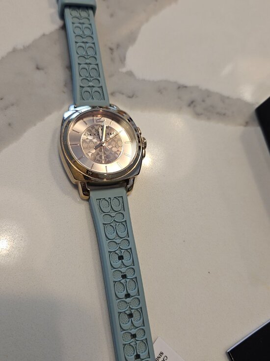 Ladies Boyfriend Coach Watch ⌚️ main image 5